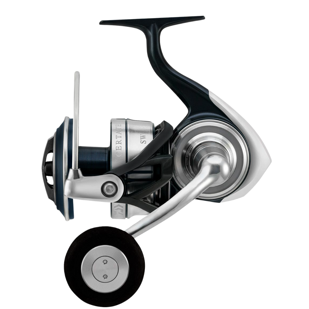 Daiwa 21 Certate SW G 18000-H