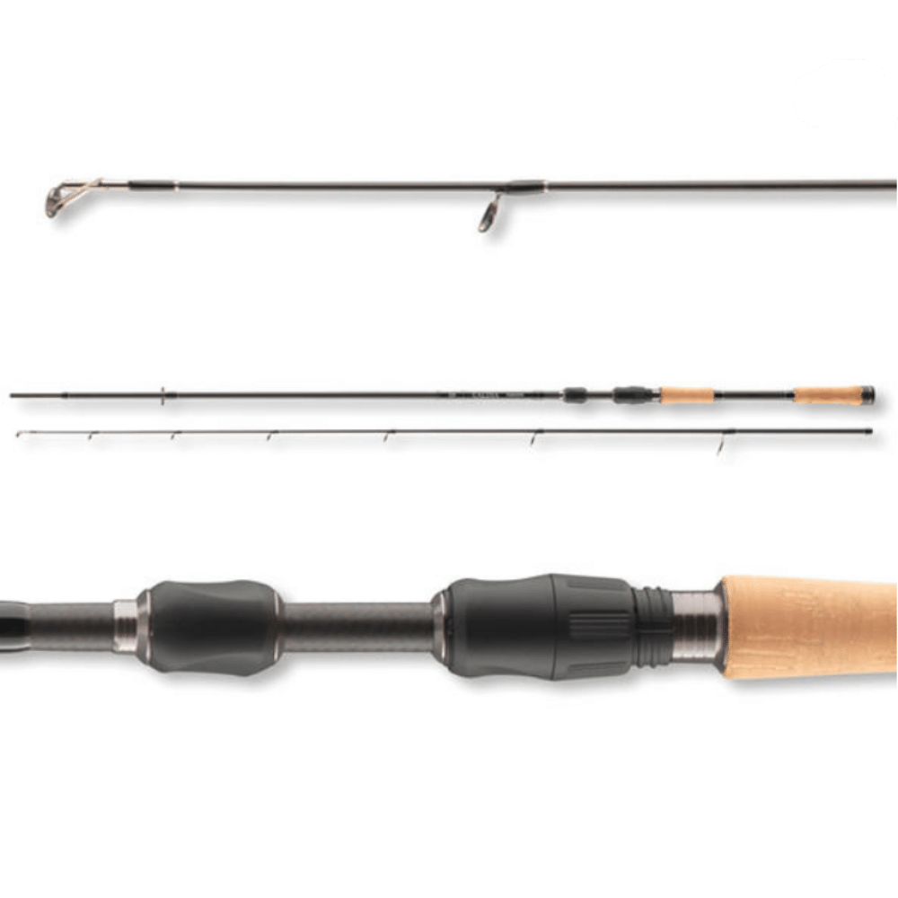 Daiwa Caldia Extra Fast Spin 2,25 Meter 20-60 G