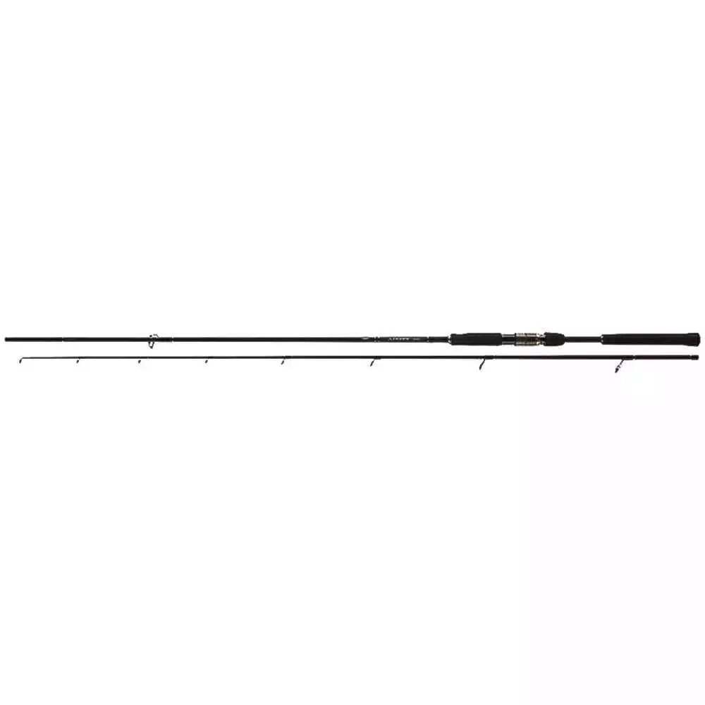 Daiwa Airity Spin 2,40 Meter 28-70 G