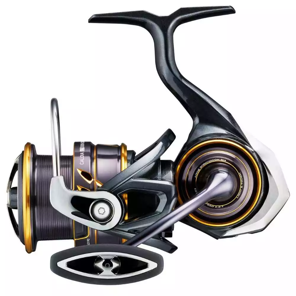 Daiwa 22 Caldia LT MQ 1000D