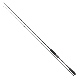 Daiwa Procyron Spin 2,40 Meter 30 Bis 70 G