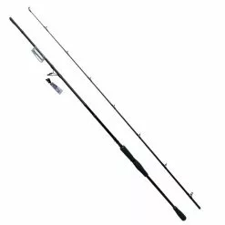 Shimano Yasei AX Pike XH Spin 250 Cm 40-120 G