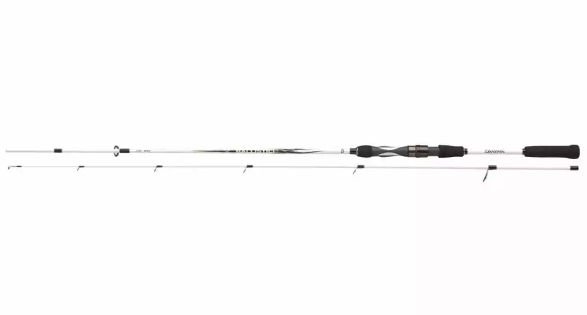 Daiwa Ballistic LTD Spin 2,40 Meter 30-70 G